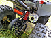 PROMAX SPORT - PRO 180 (2025)